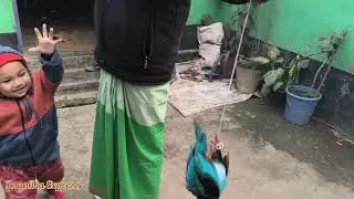 সকালে আম্মু শীতের মজাদার পিঠা ও খাবার রান্না করলো#winterspecial dishe#Tomalika Express #youtubevideo