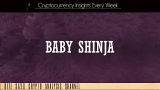 Baby Shinja Crypto Token Review - See Red Flags & Audit Update After Initial Video Review