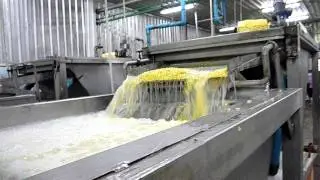 Flotation washer sweet corn