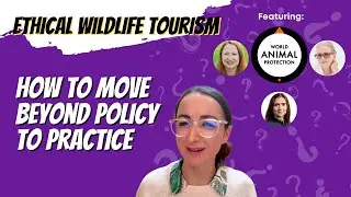Preview: How To Move From Policy To Practice: Ethical Wildlife Tourism With World Animal Protection