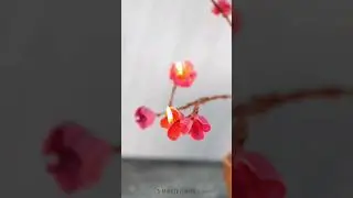 DIY Cherry blossom tree 🍒🌸 #diy #cherryblossom #japan #candle