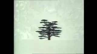 The Cedar Tree Opening Titles xvid