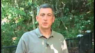 The WNC Nature Center: Asheville's Wildlife Park!