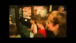 Copy of Cape Fear Serpentarium Wilmington Downtown Attractions-UNC-TV Special