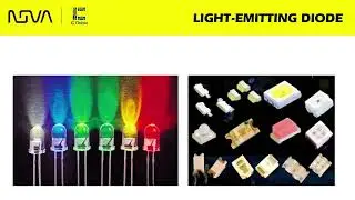 Understanding Basic Electronic Components with a Focus on Diodes