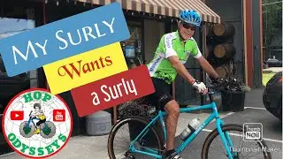 My Surly Wants A Surly: Review of the 2019 Surly Bridge Club