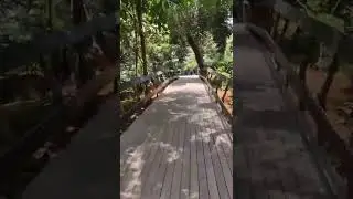 From the woods | Rani Baug | Mumbai Zoo | Byculla Zoo