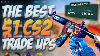 The Best PROFITABLE 1 Dollar CS2 Trade Ups ($1 Trade-Ups 2023)