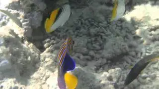 M4H00400.MP4