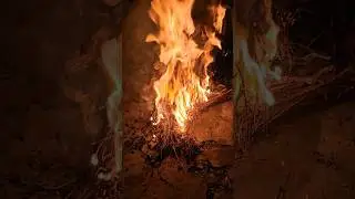 Bonfire in chilli winters #bonfire #winter #viral #trending #explore #newvideo #roamingworld #travel