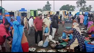 Vlog at Margao wholesale Fish Market || Marketing System
