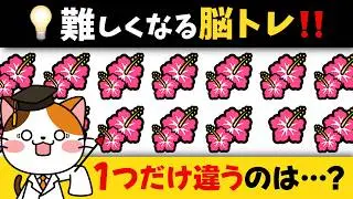 【わかったら若い！】何が違う？脳トレで集中力・注意力を楽しくアップ
