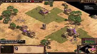 AoE2 DE - Sundjata 4 - 35:36
