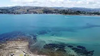 Flying over Whitireia Park [Porirua, New Zealand]