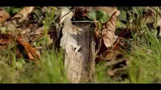 Cinestyle Test (Canon 60D & 50mm f1.8)