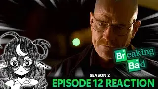 Phoenix | Breaking Bad Season 2 Episode 12 Reaction