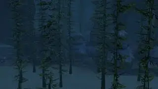 Island Paradise Exclusive Footage - Underwater