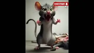 mouse and cat fight horror short