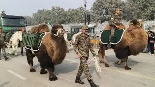 || All Army contingent parade || Republic day 2026 full dress rehearsal PART 5