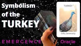 🦃 Spiritual Meaning of TURKEY:  Have FAITH in Your Ability to FLY! 🦃