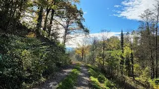 October 'wandern', Black Forest region of Germany