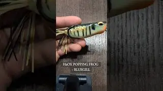 The Brand New H2O Topwater Popping Frog! #shorts