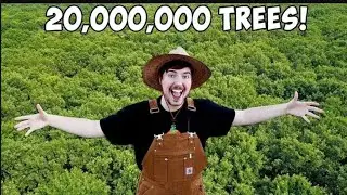 YouTube star MrBeast wants to plant 20 million trees. Elon Musk, Jack Dorsey, and more are helping.
