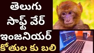Telugu Software engineer Monkeys ku bali! కోతుల కు తెలుగు సాఫ్ట్ వేర్ ఇంజనియర్ బలి! Tmixture videos