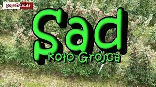 Sady grójeckie #drone #poland #agriculture