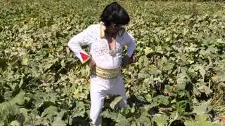 NevadaGrown Featuring Elvis Part 2