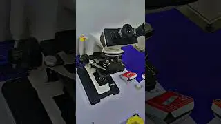 #dmlt_video #medlab #science #medstudentandmlplayer #labtechnologist #viralvideo