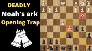 Deadly Chess Opening Trap:Noah's Ark Trap|Chess opening tricks & traps to win games|Chesstamizha