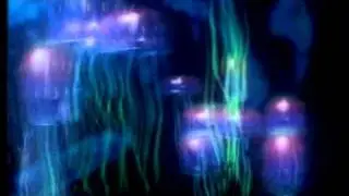 Dolphin's Mind - The flow 1997 Trance Germany