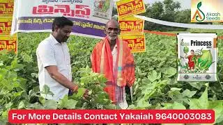 Akash Seeds | New Hybrid | Cotton | Princess | Farmer | Feedback