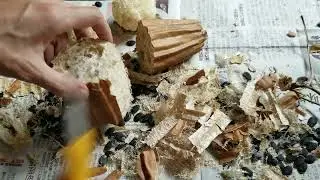 Making ball with loofah for cat 20230929 綿畑で栽培したヘチマでボール作り