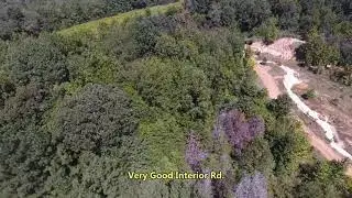 Pioneer Auction and Realty Panola County MS Hunting Land