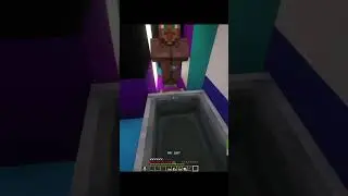 villager transport ughh