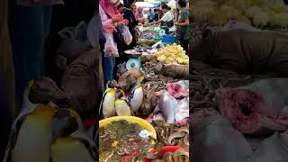 EXTREME ASIAN MARKET WITH PENGUINS