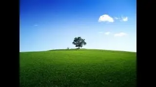 A permanent Cure for Tinnitus (My Story)