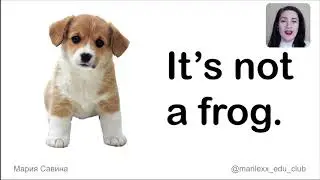 It's not a frog - It's a dog (учимся строить фразы)