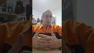 De aia nu are ursul coada!