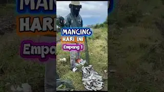 Full Strike Beruntun‼️ Empang 1 Jablog Ketapang Bikin Kecanduan ‼️