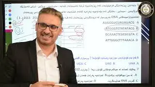 بەندی 8 کەرتی 4 شیکارکردنی پرسیاری وزاری