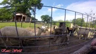 Petit Creek Farms Field Trip