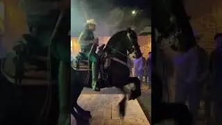 parranda con los CUACOS #caballos #bailes #jaripeos #norte&ntilde;as