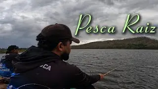 PESCARIA RA&Iacute;Z DE VERDADE ! O BAMBU GEMEU DE TANTO PEIXE 💥