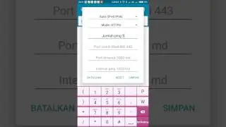 Pingtool pro
