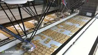 Rusks quality control and Pick & Place - SENSURE SYNAPSE OEM