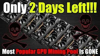 Крупный пул для майнинга на GPU исчез через 2 дня! | Kryptex уже здесь