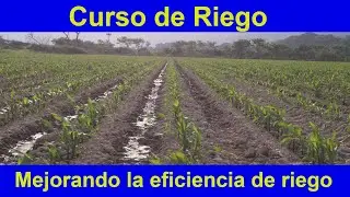 La INFILTRACION del agua en el suelo, es importante para el riego.